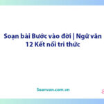 Soạn bài Bước vào đời | Ngữ văn 12 Kết nối tri thức