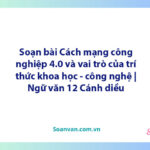 Soạn bài Cách mạng công nghiệp 4.0 và vai trò của trí thức khoa học - công nghệ | Ngữ văn 12 Cánh diều