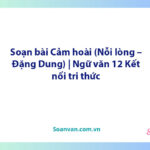 Soạn bài Cảm hoài (Nỗi lòng – Đặng Dung) | Ngữ văn 12 Kết nối tri thức