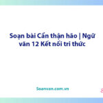 Soạn bài Cẩn thận hão | Ngữ văn 12 Kết nối tri thức