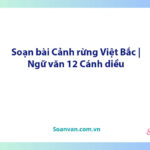 Soạn bài Cảnh rừng Việt Bắc | Ngữ văn 12 Cánh diều