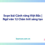 Soạn bài Cảnh rừng Việt Bắc | Ngữ văn 12 Chân trời sáng tạo