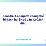 Soạn bài Con người không thể bị đánh bại | Ngữ văn 12 Cánh diều