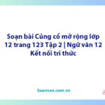 Soạn bài Củng cố, mở rộng lớp 12 trang 123 Tập 2 | Ngữ văn 12 Kết nối tri thức