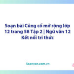 Soạn bài Củng cố, mở rộng lớp 12 trang 58 Tập 2 | Ngữ văn 12 Kết nối tri thức