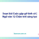 Soạn bài Cuộc gặp gỡ tình cờ | Ngữ văn 12 Chân trời sáng tạo