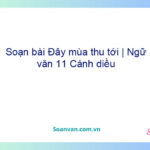 Soạn bài Đây mùa thu tới | Ngữ văn 11 Cánh diều