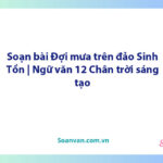 Soạn bài Đợi mưa trên đảo Sinh Tồn | Ngữ văn 12 Chân trời sáng tạo