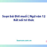 Soạn bài Đời muối | Ngữ văn 12 Kết nối tri thức