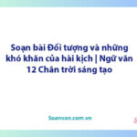 Soạn bài Đối tượng và những khó khăn của hài kịch | Ngữ văn 12 Chân trời sáng tạo