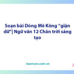 Soạn bài Dòng Mê Kông "giận dữ"| Ngữ văn 12 Chân trời sáng tạo