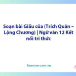 Soạn bài Giấu của (Trích Quân – Lộng Chương) | Ngữ văn 12 Kết nối tri thức