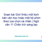 Soạn bài Giới thiệu một kịch bản văn học hoặc một bộ phim theo lựa chọn cá nhân | Ngữ văn 11 Chân trời sáng tạo