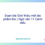 Soạn bài Giới thiệu một tác phẩm thơ | Ngữ văn 11 Cánh diều