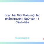 Soạn bài Giới thiệu một tác phẩm truyện | Ngữ văn 11 Cánh diều