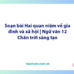 Soạn bài Hai quan niệm về gia đình và xã hội | Ngữ văn 12 Chân trời sáng tạo