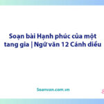 Soạn bài Hạnh phúc của một tang gia | Ngữ văn 12 Cánh diều