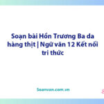 Soạn bài Hồn Trương Ba, da hàng thịt | Ngữ văn 12 Kết nối tri thức