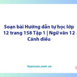 Soạn bài Hướng dẫn tự học lớp 12 trang 158 Tập 1 | Ngữ văn 12 Cánh diều