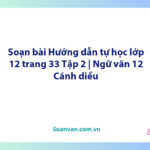 Soạn bài Hướng dẫn tự học lớp 12 trang 33 Tập 2 | Ngữ văn 12 Cánh diều