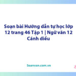 Soạn bài Hướng dẫn tự học lớp 12 trang 46 Tập 1 | Ngữ văn 12 Cánh diều