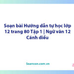 Soạn bài Hướng dẫn tự học lớp 12 trang 80 Tập 1 | Ngữ văn 12 Cánh diều