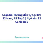 Soạn bài Hướng dẫn tự học lớp 12 trang 82 Tập 2 | Ngữ văn 12 Cánh diều