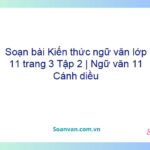 Soạn bài Kiến thức ngữ văn lớp 11 trang 3 Tập 2 | Ngữ văn 11 Cánh diều