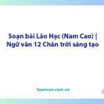 Soạn bài Lão Hạc (Nam Cao) | Ngữ văn 12 Chân trời sáng tạo