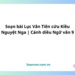 soạn bài lục vân tiên cứu kiều nguyệt nga cánh diều ngữ văn 9