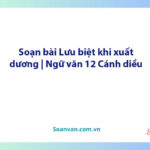 Soạn bài Lưu biệt khi xuất dương | Ngữ văn 12 Cánh diều