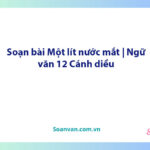 Soạn bài Một lít nước mắt | Ngữ văn 12 Cánh diều