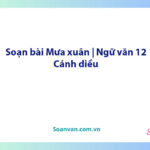 Soạn bài Mưa xuân | Ngữ văn 12 Cánh diều