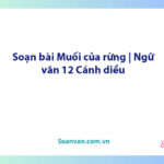 Soạn bài Muối của rừng | Ngữ văn 12 Cánh diều