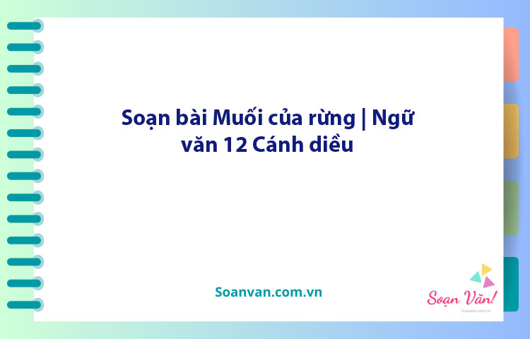 Soạn bài Muối của rừng | Ngữ văn 12 Cánh diều