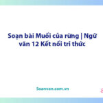 Soạn bài Muối của rừng | Ngữ văn 12 Kết nối tri thức