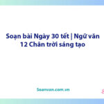 Soạn bài Ngày 30 tết | Ngữ văn 12 Chân trời sáng tạo