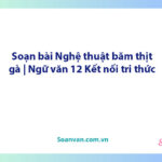 Soạn bài Nghệ thuật băm thịt gà | Ngữ văn 12 Kết nối tri thức