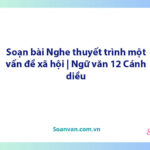 Soạn bài Nghe thuyết trình một vấn đề xã hội | Ngữ văn 12 Cánh diều