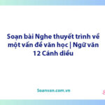 Soạn bài Nghe thuyết trình về một vấn đề văn học | Ngữ văn 12 Cánh diều