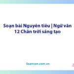 Soạn bài Nguyên tiêu | Ngữ văn 12 Chân trời sáng tạo