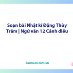 Soạn bài Nhật kí Đặng Thùy Trâm | Ngữ văn 12 Cánh diều