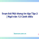 Soạn bài Nội dung ôn tập Tập 2 | Ngữ văn 12 Cánh diều