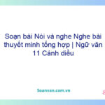 Soạn bài Nói và nghe: Nghe bài thuyết minh tổng hợp | Ngữ văn 11 Cánh diều