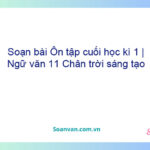 Soạn bài Ôn tập cuối học kì 1 | Ngữ văn 11 Chân trời sáng tạo