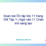 Soạn bài Ôn tập lớp 11 trang 109 Tập 1 | Ngữ văn 11 Chân trời sáng tạo