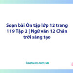 Soạn bài Ôn tập lớp 12 trang 119 Tập 2 | Ngữ văn 12 Chân trời sáng tạo