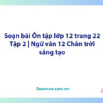 Soạn bài Ôn tập lớp 12 trang 22 Tập 2 | Ngữ văn 12 Chân trời sáng tạo