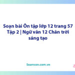 Soạn bài Ôn tập lớp 12 trang 57 Tập 2 | Ngữ văn 12 Chân trời sáng tạo