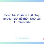 Soạn bài Phải coi luật pháp như khí trời để thở | Ngữ văn 11 Cánh diều